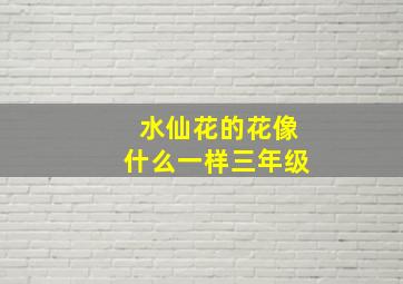 水仙花的花像什么一样三年级