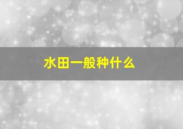 水田一般种什么