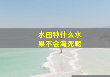 水田种什么水果不会淹死呢