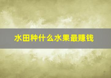 水田种什么水果最赚钱