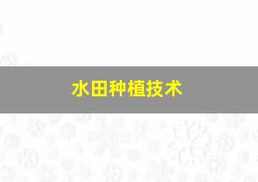 水田种植技术