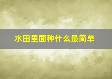 水田里面种什么最简单