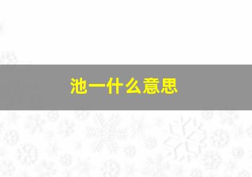 池一什么意思