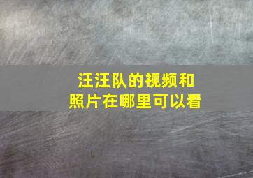 汪汪队的视频和照片在哪里可以看