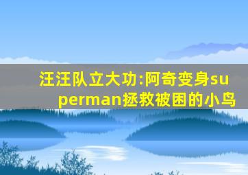 汪汪队立大功:阿奇变身superman拯救被困的小鸟