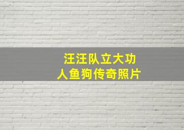 汪汪队立大功人鱼狗传奇照片