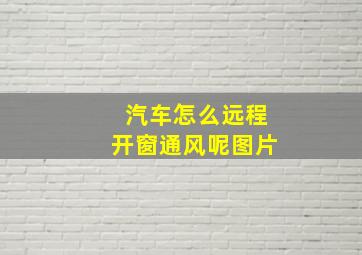 汽车怎么远程开窗通风呢图片