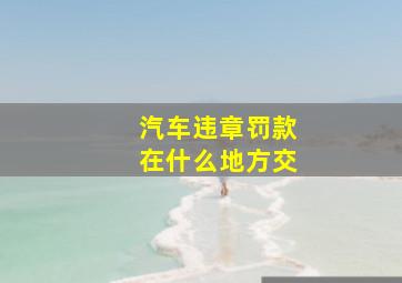 汽车违章罚款在什么地方交