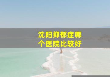 沈阳抑郁症哪个医院比较好