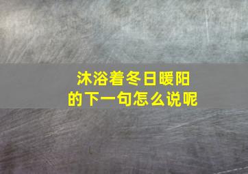 沐浴着冬日暖阳的下一句怎么说呢