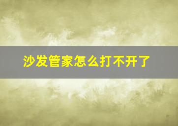 沙发管家怎么打不开了