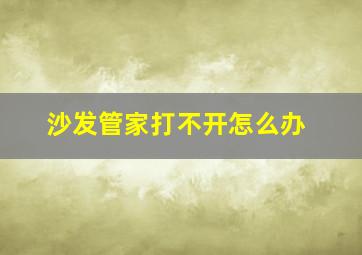 沙发管家打不开怎么办