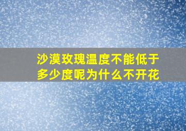 沙漠玫瑰温度不能低于多少度呢为什么不开花