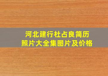 河北建行杜占良简历照片大全集图片及价格