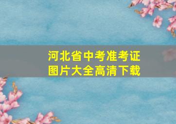 河北省中考准考证图片大全高清下载