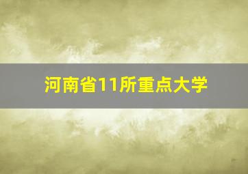 河南省11所重点大学