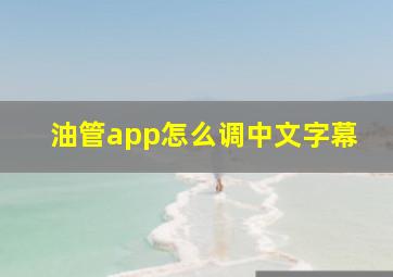 油管app怎么调中文字幕