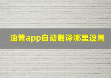 油管app自动翻译哪里设置