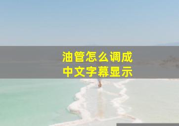 油管怎么调成中文字幕显示