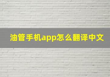 油管手机app怎么翻译中文