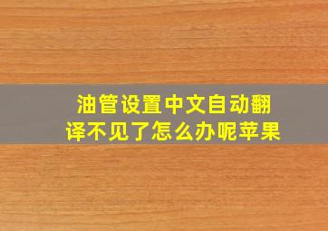 油管设置中文自动翻译不见了怎么办呢苹果