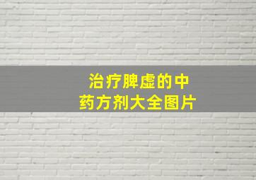 治疗脾虚的中药方剂大全图片