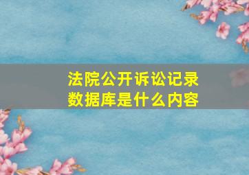 法院公开诉讼记录数据库是什么内容