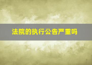 法院的执行公告严重吗