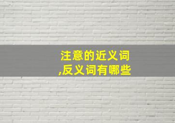 注意的近义词,反义词有哪些