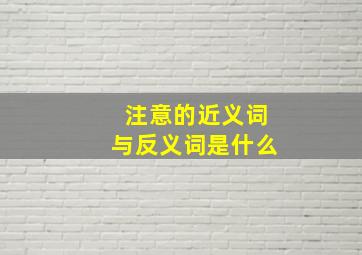 注意的近义词与反义词是什么