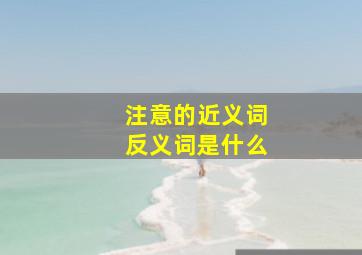 注意的近义词反义词是什么