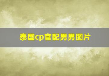 泰国cp官配男男图片