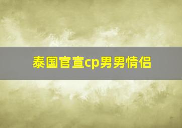 泰国官宣cp男男情侣