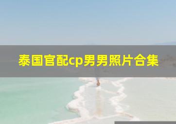 泰国官配cp男男照片合集