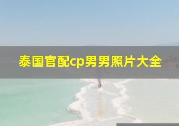 泰国官配cp男男照片大全