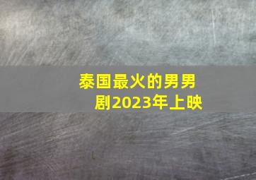 泰国最火的男男剧2023年上映