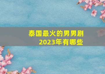 泰国最火的男男剧2023年有哪些