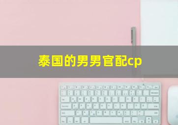 泰国的男男官配cp