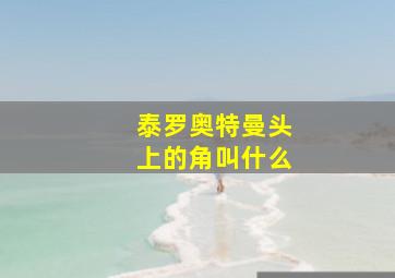 泰罗奥特曼头上的角叫什么