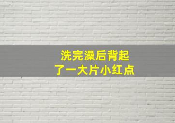 洗完澡后背起了一大片小红点