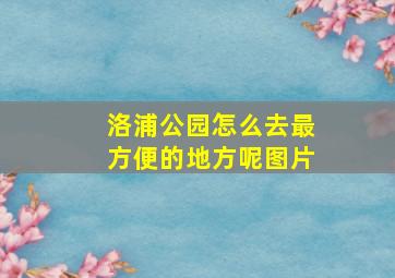 洛浦公园怎么去最方便的地方呢图片