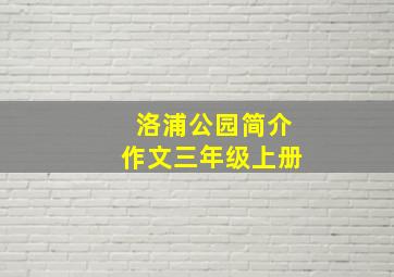 洛浦公园简介作文三年级上册