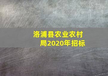 洛浦县农业农村局2020年招标