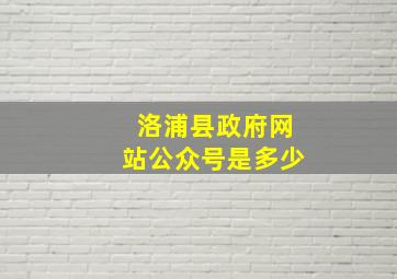 洛浦县政府网站公众号是多少