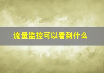 流量监控可以看到什么