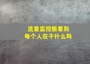 流量监控能看到每个人在干什么吗