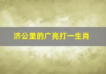 济公里的广亮打一生肖