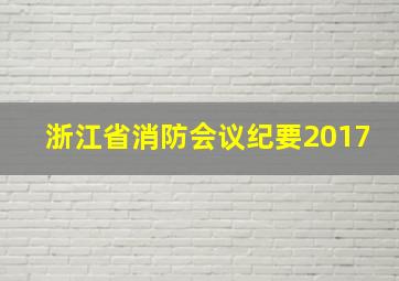 浙江省消防会议纪要2017