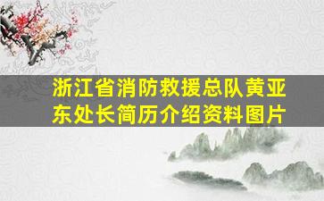 浙江省消防救援总队黄亚东处长简历介绍资料图片