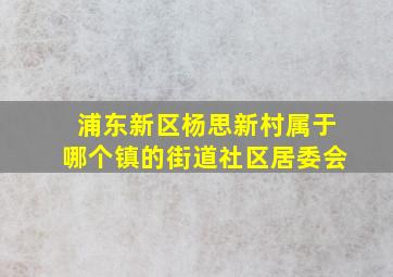 浦东新区杨思新村属于哪个镇的街道社区居委会